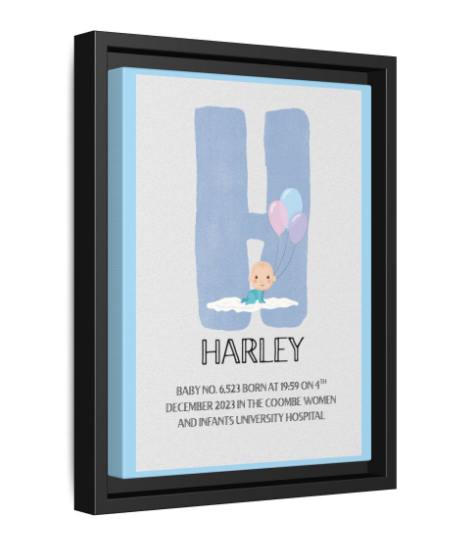 NewBorn Name Board Matte Canvas, Framed (Colour Variants Available)